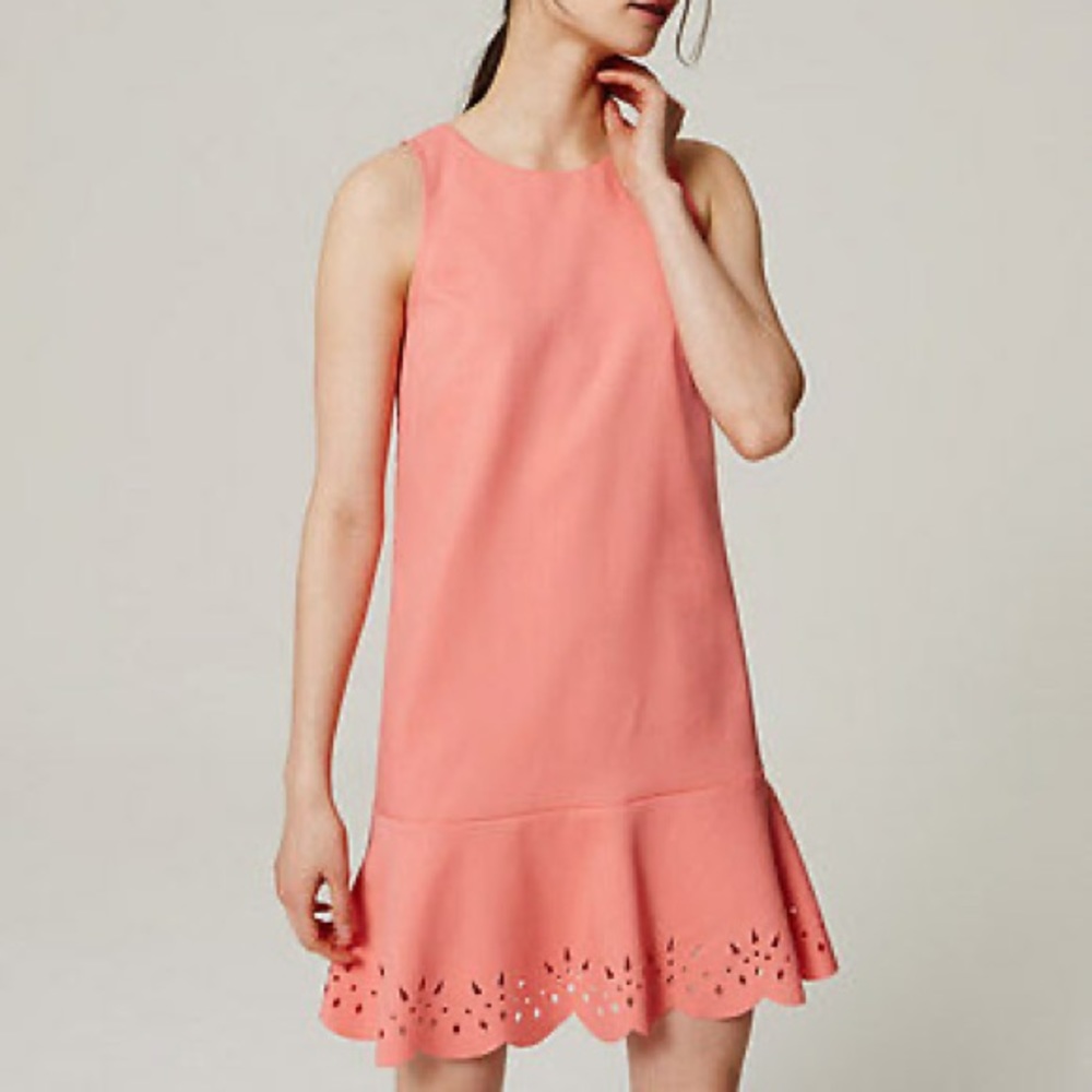 Ann Taylor Loft Salmon Pink Laser Cut Ruffle flutter Hem Dress size 10